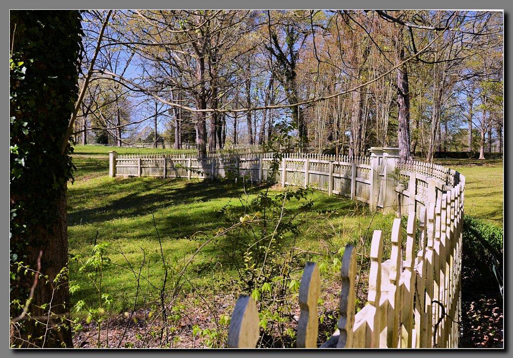 Back Fence